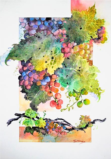 Grape Delight, watercolour painting of grapes on the vine, by Julie Goldspink on Saunders Smooth 425 gsm watercolour paper