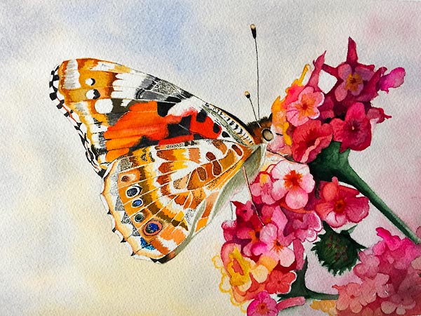 Red, brown and black butterfly on pink and flowers, class project by Karen Flavel