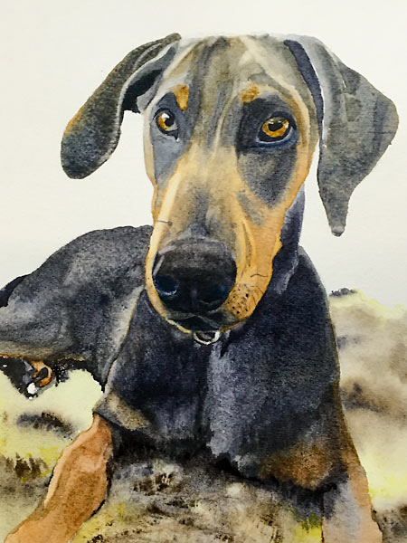 Watercolour painting of a black and tan dog by Sandra Bain, personal project