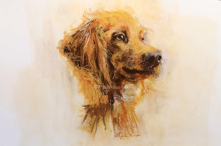 "Ollie" - pastel painting of a tan coloured long-haired dog - by Angela Russo