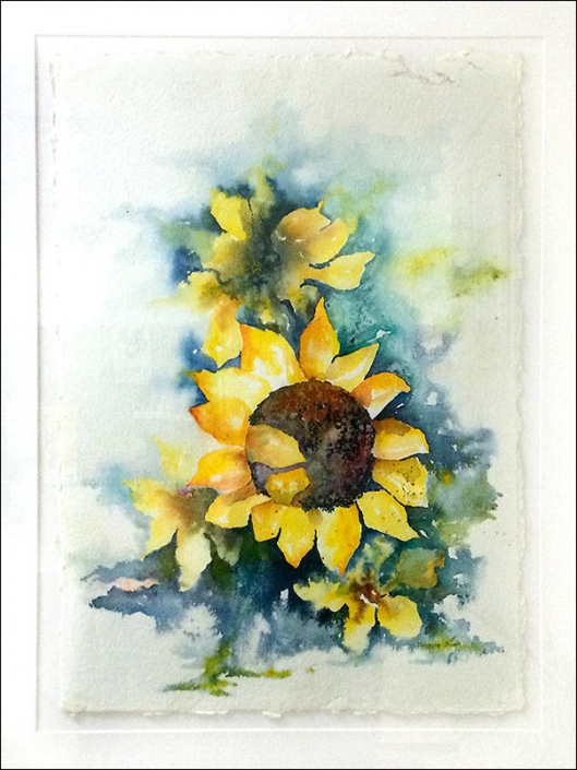 Watercolour painting of a sunflower by Maggie Bush