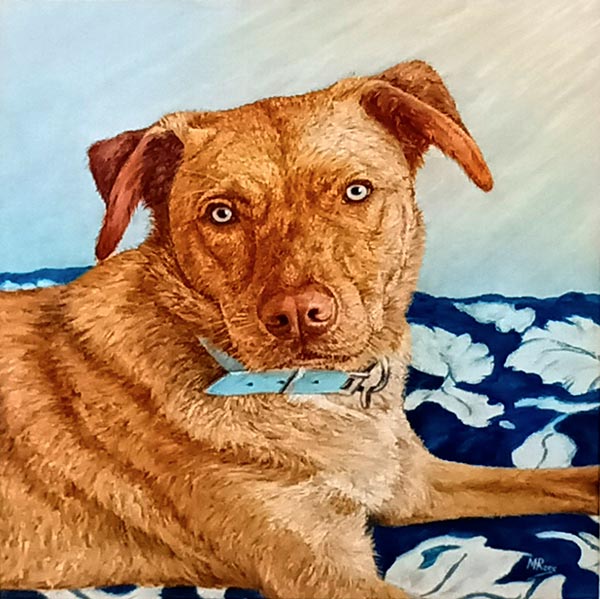 Portrait of a brown dog lying on blue and white floral fabric by Margaret Rees