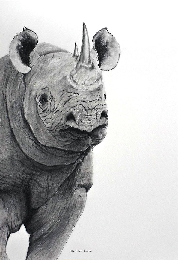 Monochrome rhino By Michael Lord