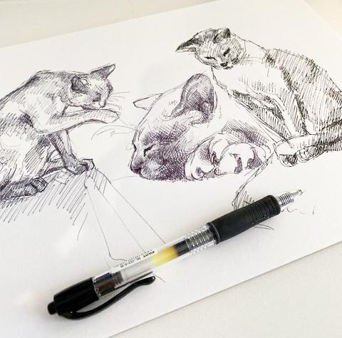 Ink sketch of cats in a variety of poses by Maria Radun