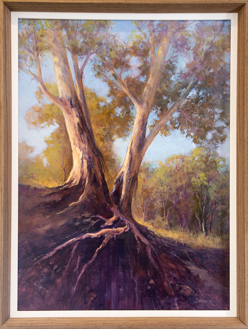 Oil painting by Jacqui Simpson of two white gum trees with exposed roots, growing on an embankment.