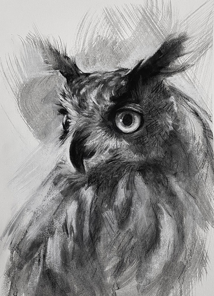 Monochromatic drawing Of An Owl By Maria Radun