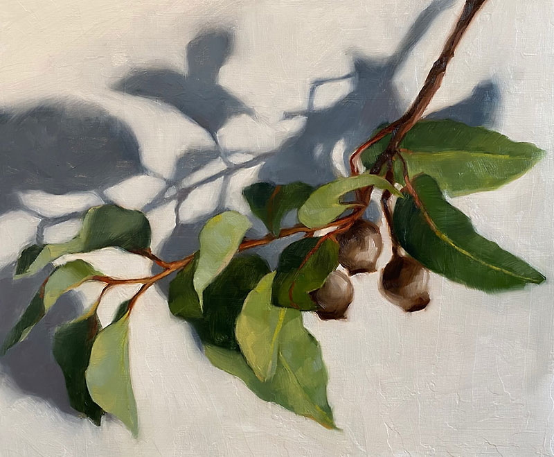 Maria Radun painting of gum nuts and leaves - The Three Of Us 2021 - Oil on board 30x25 cm