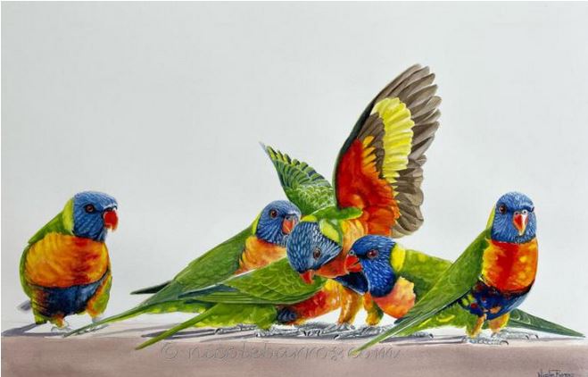 Meeting Place - watercolour painting of orange, green, blue and yellow rainbow lorikeet parrots by Nicole Barros