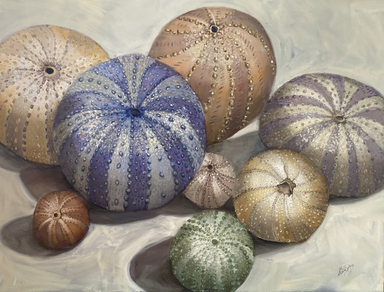Artwork by Claire Spring of sea urchin shells of several colours