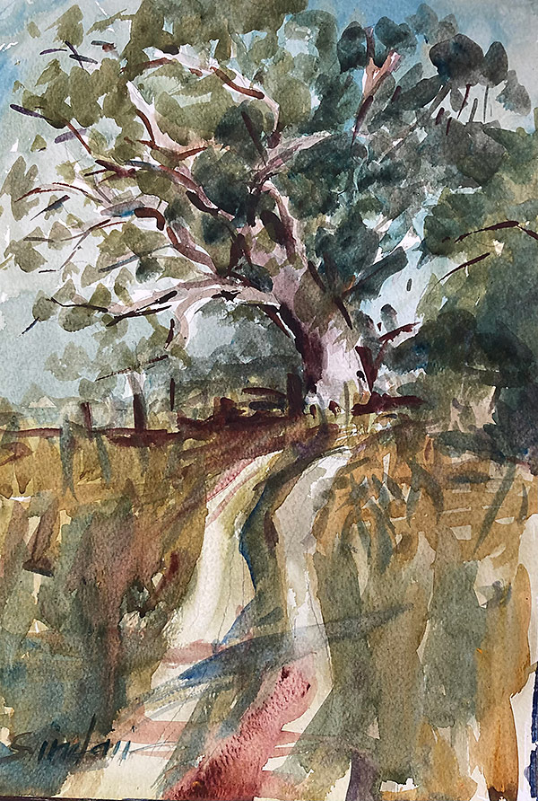 Watercolour painting of a large tree on a hill, by Clive Sinclair