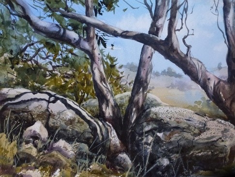 Watercolour painting of trees and rocks in a landscape by Maxine Wade.