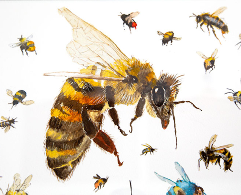 Detail from "Bees" - watercolour by JoanDenner. Lots of different types of bees in flight.