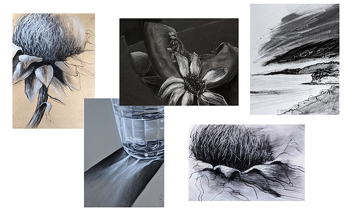 Charcoal Texture Collage by Jan Prislin-Planinc. Charcoal drawings of plants, loosely rendered landscape and glass with reflections.