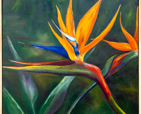 Oil painting of a strelitzia flower by Veronica Cunningham