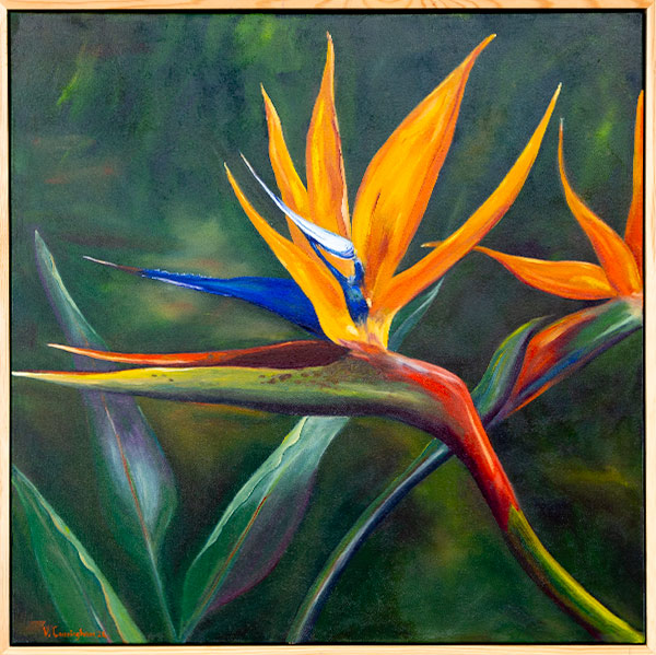 Oil painting of a strelitzia flower by Veronica Cunningham