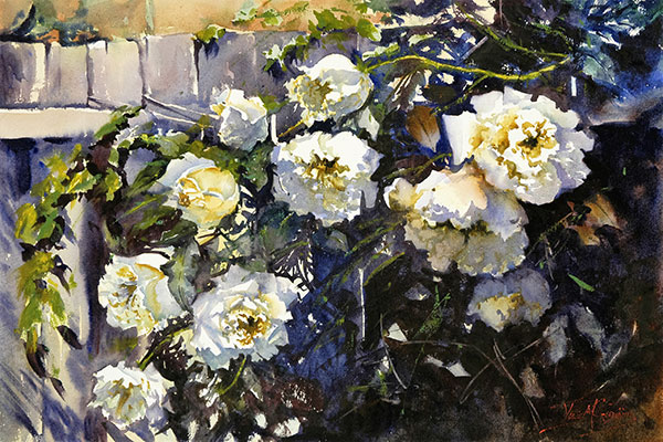Julie Goldspink - Iceberg Cascade- Watercolour on Arches 300gsm - 55cm X W 75cm 2013. Depicts a cascade of white flowers growing against a fence.
