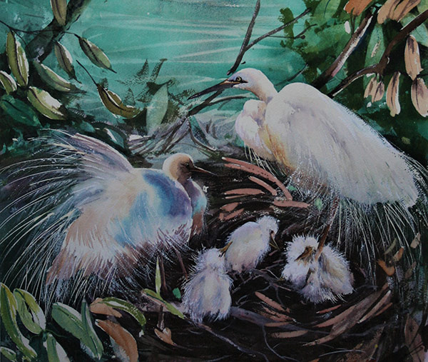 Safe Haven - Watercolour On Arches Rough 300gsm - JulieGoldspink. Painting of egrets with chicks in a next.
